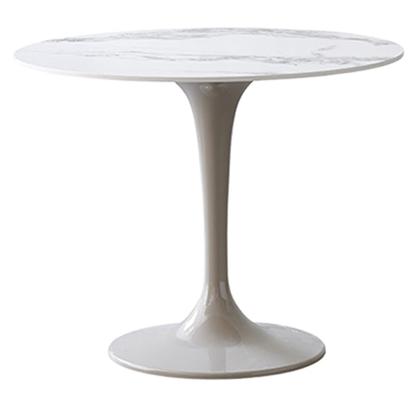 Modern 1/2/3/4/5 Pieces Dining Set Round Sintered Stone Dining Table Set Clearhalo 'Dining Room Sets' 'Dining Tables & Seating' 'dining_room_set' 'furn' 'furn_dining_room_set' 'Furniture' 'furniture_dining_room_set' 'Kitchen & Dining Furniture' 4876497