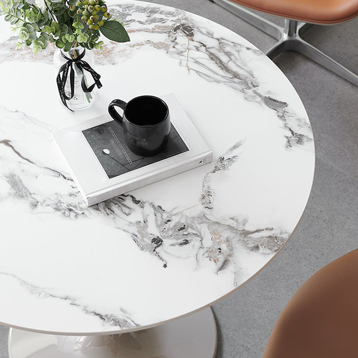 Modern 1/2/3/4/5 Pieces Dining Set Round Sintered Stone Dining Table Set Clearhalo 'Dining Room Sets' 'Dining Tables & Seating' 'dining_room_set' 'furn' 'furn_dining_room_set' 'Furniture' 'furniture_dining_room_set' 'Kitchen & Dining Furniture' 4876501