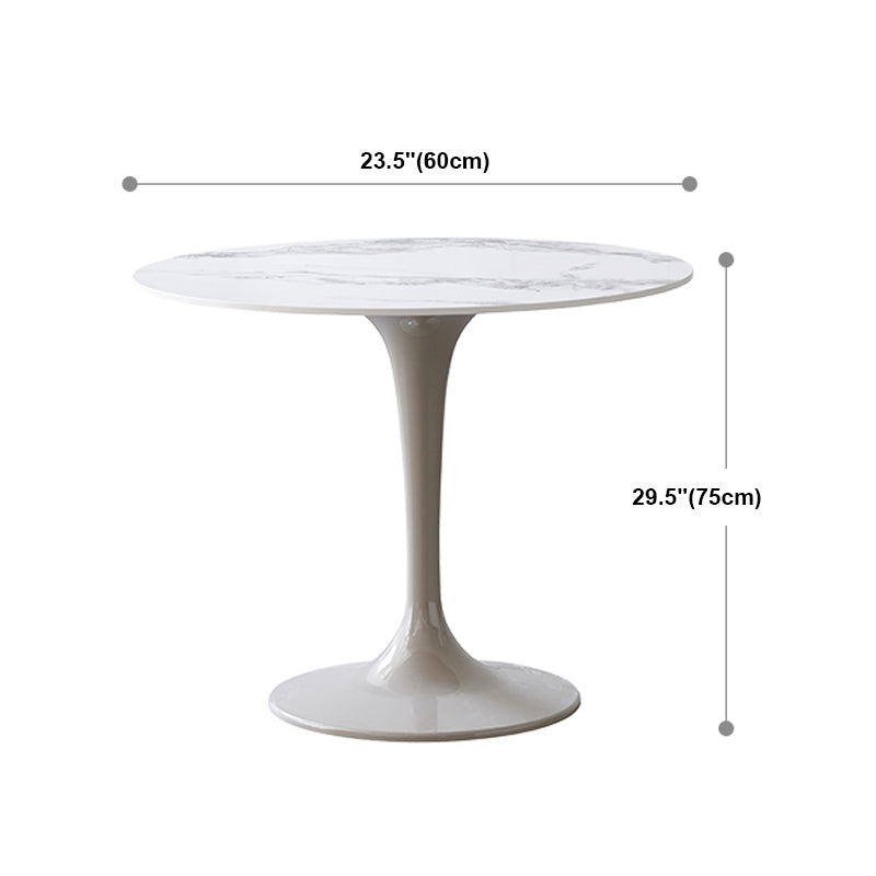 Modern 1/2/3/4/5 Pieces Dining Set Round Sintered Stone Dining Table Set Clearhalo 'Dining Room Sets' 'Dining Tables & Seating' 'dining_room_set' 'furn' 'furn_dining_room_set' 'Furniture' 'furniture_dining_room_set' 'Kitchen & Dining Furniture' 4876506