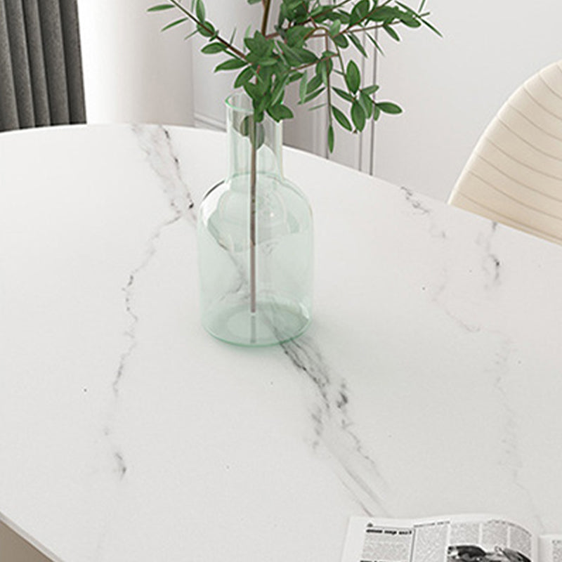 Oval Sintered Stone Dining Table Traditional Luxury Dining Table for Home Use Clearhalo 'Dining Tables & Seating' 'Dining Tables' 'dining_table' 'furn' 'furn_dining_table' 'Furniture' 'furniture_dining_table' 'Kitchen & Dining Furniture' 'kitchen' 'kitchen_dining_table' 4876975