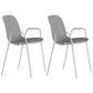 Industrial Style Metal Chair Dining Armless Chairs for Kitchen Grey 2 Piece Set Clearhalo 'Dining Chairs' 'Dining Tables & Seating' 'dining_chair' 'furn' 'furn_dining_chair' 'Furniture' 'furniture_dining_chair' 'Kitchen & Dining Furniture' 4877439