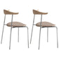Industrial Style Metal Chairs Dining Armless Open Back Chairs for Kitchen Apricot 2 Piece Set Clearhalo 'Dining Chairs' 'Dining Tables & Seating' 'dining_chair' 'furn' 'furn_dining_chair' 'Furniture' 'furniture_dining_chair' 'Kitchen & Dining Furniture' 4877614