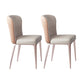 Nordic Glam Style Metal Chairs Dining Armless Chair for Kitchen Gray Purple 2 Piece Set Clearhalo 'Dining Chairs' 'Dining Tables & Seating' 'dining_chair' 'furn' 'furn_dining_chair' 'Furniture' 'furniture_dining_chair' 'Kitchen & Dining Furniture' 4877675