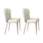 Nordic Glam Style Metal Chairs Dining Armless Chair for Kitchen Grey Beige 2 Piece Set Clearhalo 'Dining Chairs' 'Dining Tables & Seating' 'dining_chair' 'furn' 'furn_dining_chair' 'Furniture' 'furniture_dining_chair' 'Kitchen & Dining Furniture' 4877683