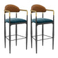 Scandinavian Home Velvet Counter Stool Matte Finish Footrest Stool Blue-Red 2 Piece Set Bar Stool(30"H) Clearhalo 'Bar Furniture' 'Bar Stools' 'bar_stools' 'furn' 'furn_bar_stools' 'Furniture' 'furniture_bar_stools' 'Kitchen & Dining Furniture' 4877761