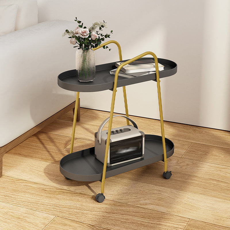 Iron Movable Bookshelf Double Layer Floor Bookcase with Pulley Clearhalo 'Bookcases' 'furn' 'furn_bookcases' 'Furniture' 'furniture_bookcases' 'Office Furniture' 4878443