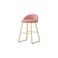 Glam Dessert Shop Footrest Stool Matte Finish Velvet Bar Stool Pink 1 Piece Short Stool(18"H) Clearhalo 'Bar Furniture' 'Bar Stools' 'bar_stools' 'furn' 'furn_bar_stools' 'Furniture' 'furniture_bar_stools' 'Kitchen & Dining Furniture' 4888789