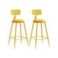 Matte Finish Iron Bar Stool Industrial Low Back Milk Tea Shop Stool Yellow 2 Piece Set Counter Stool(26"H) Clearhalo 'Bar Furniture' 'Bar Stools' 'bar_stools' 'furn' 'furn_bar_stools' 'Furniture' 'furniture_bar_stools' 'Kitchen & Dining Furniture' 4888984