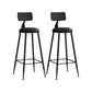 Matte Finish Iron Bar Stool Industrial Low Back Milk Tea Shop Stool Black 2 Piece Set Bar Stool(30"H) Clearhalo 'Bar Furniture' 'Bar Stools' 'bar_stools' 'furn' 'furn_bar_stools' 'Furniture' 'furniture_bar_stools' 'Kitchen & Dining Furniture' 4888987