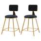 Nordic Style Backrest Counter Stool Iron Cafe Bar Stool with Cushion and Pedal Black 2 Piece Set Short Stool(18"H) Clearhalo 'Bar Furniture' 'Bar Stools' 'bar_stools' 'furn' 'furn_bar_stools' 'Furniture' 'furniture_bar_stools' 'Kitchen & Dining Furniture' 4889380
