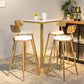Nordic Style Backrest Counter Stool Iron Cafe Bar Stool with Cushion and Pedal Clearhalo 'Bar Furniture' 'Bar Stools' 'bar_stools' 'furn' 'furn_bar_stools' 'Furniture' 'furniture_bar_stools' 'Kitchen & Dining Furniture' 4889384