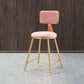 Nordic Style Backrest Counter Stool Iron Cafe Bar Stool with Cushion and Pedal Pink 1 Piece Short Stool(18"H) Clearhalo 'Bar Furniture' 'Bar Stools' 'bar_stools' 'furn' 'furn_bar_stools' 'Furniture' 'furniture_bar_stools' 'Kitchen & Dining Furniture' 4889395