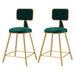 Nordic Style Backrest Counter Stool Iron Cafe Bar Stool with Cushion and Pedal Green 2 Piece Set Short Stool(18"H) Clearhalo 'Bar Furniture' 'Bar Stools' 'bar_stools' 'furn' 'furn_bar_stools' 'Furniture' 'furniture_bar_stools' 'Kitchen & Dining Furniture' 4889402