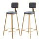 Nordic Style Backrest Counter Stool Iron Cafe Bar Stool with Cushion and Pedal Gray 2 Piece Set Clearhalo 'Bar Furniture' 'Bar Stools' 'bar_stools' 'furn' 'furn_bar_stools' 'Furniture' 'furniture_bar_stools' 'Kitchen & Dining Furniture' 4889408