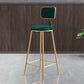 Nordic Style Backrest Counter Stool Iron Cafe Bar Stool with Cushion and Pedal Green 1 Piece Clearhalo 'Bar Furniture' 'Bar Stools' 'bar_stools' 'furn' 'furn_bar_stools' 'Furniture' 'furniture_bar_stools' 'Kitchen & Dining Furniture' 4889419
