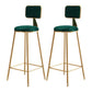 Nordic Style Backrest Counter Stool Iron Cafe Bar Stool with Cushion and Pedal Green 2 Piece Set Clearhalo 'Bar Furniture' 'Bar Stools' 'bar_stools' 'furn' 'furn_bar_stools' 'Furniture' 'furniture_bar_stools' 'Kitchen & Dining Furniture' 4889420