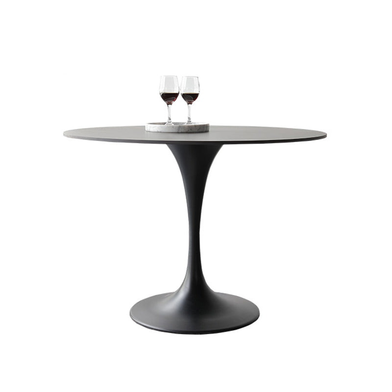Metal Modern Round Indoor Table Black Sintered Stone Top Table for Dining Room Without Chairs Clearhalo 'Dining Tables & Seating' 'Dining Tables' 'dining_table' 'furn' 'furn_dining_table' 'Furniture' 'furniture_dining_table' 'Kitchen & Dining Furniture' 'kitchen' 'kitchen_dining_table' 4890209