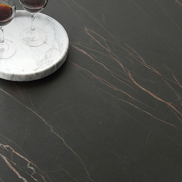 Metal Modern Round Indoor Table Black Sintered Stone Top Table for Dining Room Clearhalo 'Dining Tables & Seating' 'Dining Tables' 'dining_table' 'furn' 'furn_dining_table' 'Furniture' 'furniture_dining_table' 'Kitchen & Dining Furniture' 'kitchen' 'kitchen_dining_table' 4890210