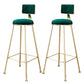 Glam Armless Backrest Counter Stool Steel Cashier Bar Stool with Flannel Cushion and Pedal Green 2 Piece Set Clearhalo 'Bar Furniture' 'Bar Stools' 'bar_stools' 'furn' 'furn_bar_stools' 'Furniture' 'furniture_bar_stools' 'Kitchen & Dining Furniture' 4899283