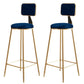 Glam Armless Backrest Counter Stool Steel Cashier Bar Stool with Flannel Cushion and Pedal Blue 2 Piece Set Clearhalo 'Bar Furniture' 'Bar Stools' 'bar_stools' 'furn' 'furn_bar_stools' 'Furniture' 'furniture_bar_stools' 'Kitchen & Dining Furniture' 4899291