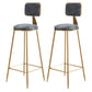 Glam Armless Backrest Counter Stool Steel Cashier Bar Stool with Flannel Cushion and Pedal Gray 2 Piece Set Clearhalo 'Bar Furniture' 'Bar Stools' 'bar_stools' 'furn' 'furn_bar_stools' 'Furniture' 'furniture_bar_stools' 'Kitchen & Dining Furniture' 4899299