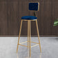 Glam Armless Backrest Counter Stool Steel Cashier Bar Stool with Flannel Cushion and Pedal Blue 1 Piece Clearhalo 'Bar Furniture' 'Bar Stools' 'bar_stools' 'furn' 'furn_bar_stools' 'Furniture' 'furniture_bar_stools' 'Kitchen & Dining Furniture' 4899305