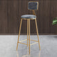Glam Armless Backrest Counter Stool Steel Cashier Bar Stool with Flannel Cushion and Pedal Gray 1 Piece Clearhalo 'Bar Furniture' 'Bar Stools' 'bar_stools' 'furn' 'furn_bar_stools' 'Furniture' 'furniture_bar_stools' 'Kitchen & Dining Furniture' 4899307