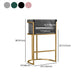 Glam Armrest Backrest Counter Stool Iron Cafe Bar Stool with Flannel Cushion and Pedal Clearhalo 'Bar Furniture' 'Bar Stools' 'bar_stools' 'furn' 'furn_bar_stools' 'Furniture' 'furniture_bar_stools' 'Kitchen & Dining Furniture' 4899344