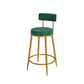 Glam Velvet Restaurant Counter Stool Matte Finish Footrest Barstool Clearhalo 'Bar Furniture' 'Bar Stools' 'bar_stools' 'furn' 'furn_bar_stools' 'Furniture' 'furniture_bar_stools' 'Kitchen & Dining Furniture' 4899792