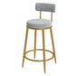 Glam Velvet Restaurant Counter Stool Matte Finish Footrest Barstool Grey Gold 1 Piece Clearhalo 'Bar Furniture' 'Bar Stools' 'bar_stools' 'furn' 'furn_bar_stools' 'Furniture' 'furniture_bar_stools' 'Kitchen & Dining Furniture' 4899804