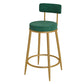 Glam Velvet Restaurant Counter Stool Matte Finish Footrest Barstool Blackish Green Gold 1 Piece Clearhalo 'Bar Furniture' 'Bar Stools' 'bar_stools' 'furn' 'furn_bar_stools' 'Furniture' 'furniture_bar_stools' 'Kitchen & Dining Furniture' 4899808