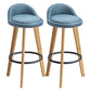 Modern Armless Backrest Counter Stool Rubber Wood kitchen Bar Stool with Cushion and Pedal Light Blue 2 Piece Set Clearhalo 'Bar Furniture' 'Bar Stools' 'bar_stools' 'furn' 'furn_bar_stools' 'Furniture' 'furniture_bar_stools' 'Kitchen & Dining Furniture' 4899915