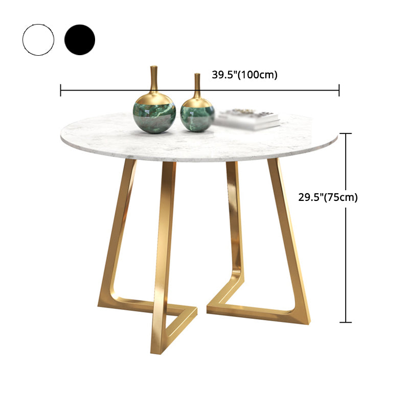 Glam 1/4/5/6 Pieces Dining Set Round Stone Dining Table for Dining Room Clearhalo 'Dining Room Sets' 'Dining Tables & Seating' 'dining_room_set' 'furn' 'furn_dining_room_set' 'Furniture' 'furniture_dining_room_set' 'Kitchen & Dining Furniture' 4900072