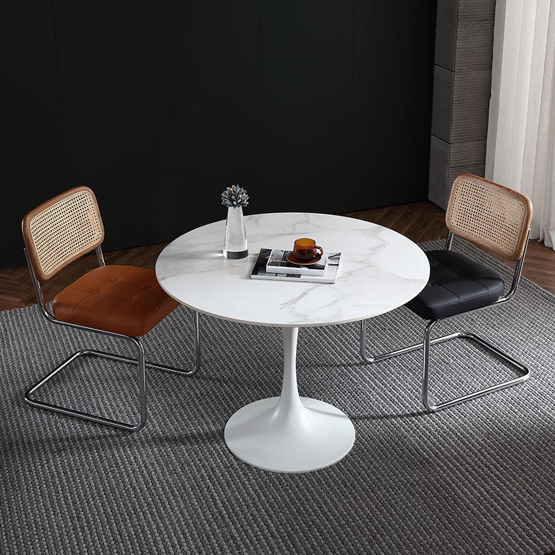 Stone Top Dining Table Modern Round Dining Table with Pedestal Base 35.4"L x 35.4"W x 29.5"H Without Chairs Clearhalo 'Dining Tables & Seating' 'Dining Tables' 'dining_table' 'furn' 'furn_dining_table' 'Furniture' 'furniture_dining_table' 'Kitchen & Dining Furniture' 'kitchen' 'kitchen_dining_table' 4900566
