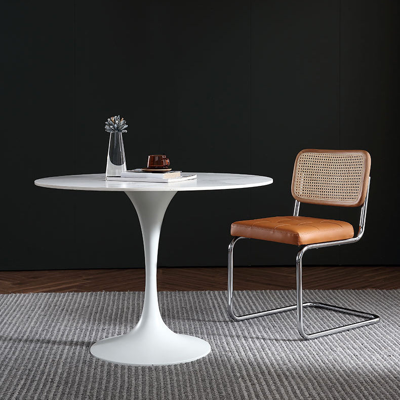 Stone Top Dining Table Modern Round Dining Table with Pedestal Base 43.3"L x 43.3"W x 29.5"H Without Chairs Clearhalo 'Dining Tables & Seating' 'Dining Tables' 'dining_table' 'furn' 'furn_dining_table' 'Furniture' 'furniture_dining_table' 'Kitchen & Dining Furniture' 'kitchen' 'kitchen_dining_table' 4900569