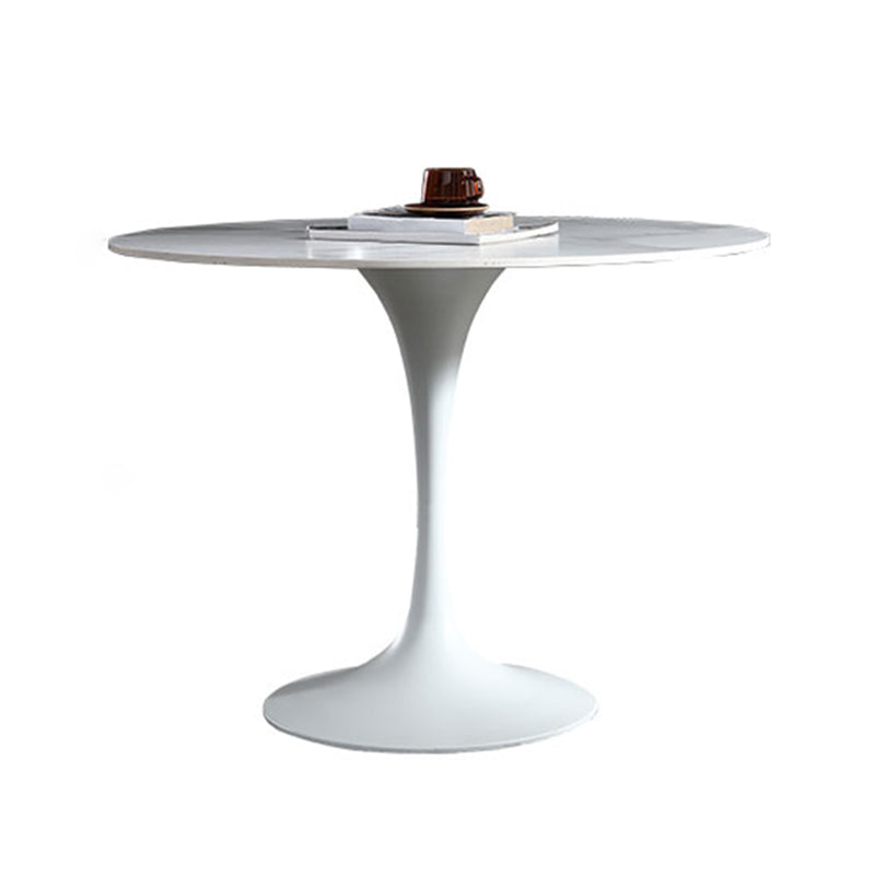 Stone Top Dining Table Modern Round Dining Table with Pedestal Base Without Chairs Clearhalo 'Dining Tables & Seating' 'Dining Tables' 'dining_table' 'furn' 'furn_dining_table' 'Furniture' 'furniture_dining_table' 'Kitchen & Dining Furniture' 'kitchen' 'kitchen_dining_table' 4900570