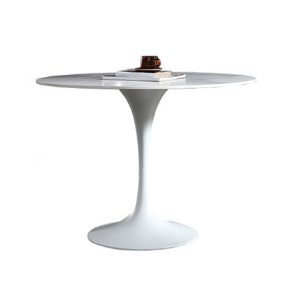 Stone Top Dining Table Modern Round Dining Table with Pedestal Base Without Chairs Clearhalo 'Dining Tables & Seating' 'Dining Tables' 'dining_table' 'furn' 'furn_dining_table' 'Furniture' 'furniture_dining_table' 'Kitchen & Dining Furniture' 'kitchen' 'kitchen_dining_table' 4900570