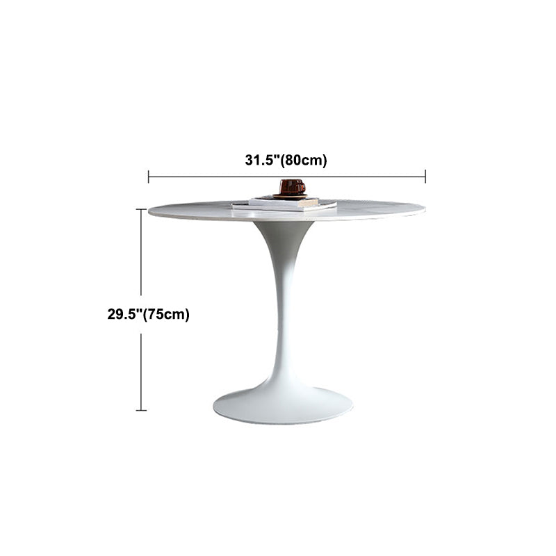 Stone Top Dining Table Modern Round Dining Table with Pedestal Base Clearhalo 'Dining Tables & Seating' 'Dining Tables' 'dining_table' 'furn' 'furn_dining_table' 'Furniture' 'furniture_dining_table' 'Kitchen & Dining Furniture' 'kitchen' 'kitchen_dining_table' 4900578
