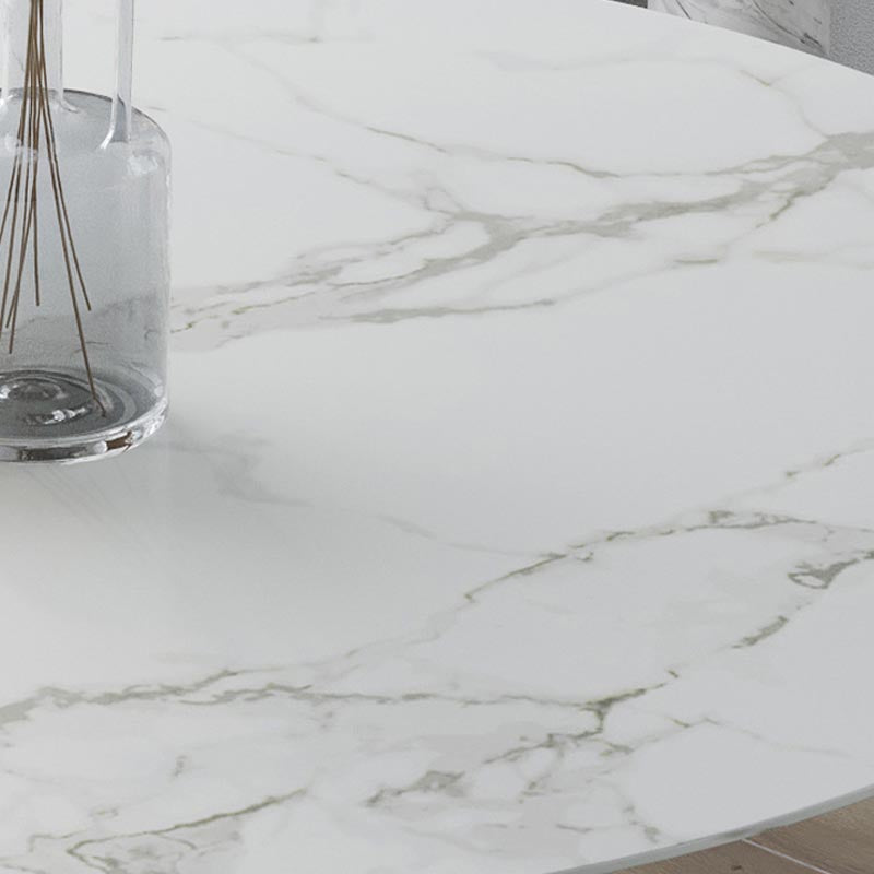 Stone Top Dining Table Modern Round Table with Pedestal Base Clearhalo 'Dining Tables & Seating' 'Dining Tables' 'dining_table' 'furn' 'furn_dining_table' 'Furniture' 'furniture_dining_table' 'Kitchen & Dining Furniture' 'kitchen' 'kitchen_dining_table' 4900659
