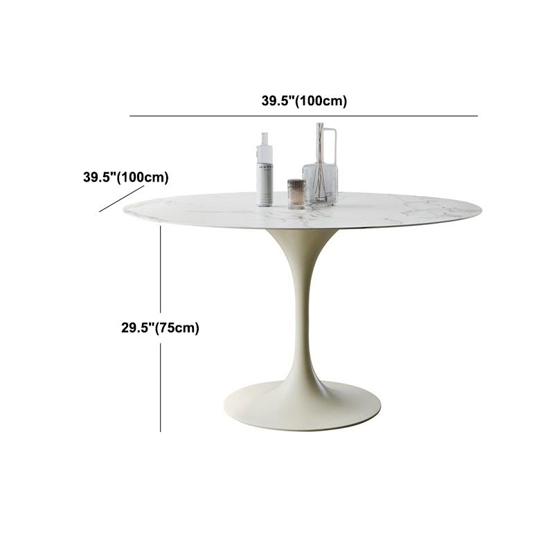 Stone Top Dining Table Modern Round Table with Pedestal Base Clearhalo 'Dining Tables & Seating' 'Dining Tables' 'dining_table' 'furn' 'furn_dining_table' 'Furniture' 'furniture_dining_table' 'Kitchen & Dining Furniture' 'kitchen' 'kitchen_dining_table' 4900670