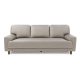 Contemporary Pillow Back Couch Leather Sofa with Solid Wood Legs Clearhalo 'Furniture' 'furniture_sofas' 'Living Room Furniture' 'Sofa' 'sofas' 4909139