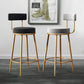 Nordic Armless Backrest Counter Stool Iron Dessert Shop Bar Stool with Cushion and Pedal Clearhalo 'Bar Furniture' 'Bar Stools' 'bar_stools' 'furn' 'furn_bar_stools' 'Furniture' 'furniture_bar_stools' 'Kitchen & Dining Furniture' 4910313