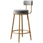 Nordic Armless Backrest Counter Stool Iron Dessert Shop Bar Stool with Cushion and Pedal Clearhalo 'Bar Furniture' 'Bar Stools' 'bar_stools' 'furn' 'furn_bar_stools' 'Furniture' 'furniture_bar_stools' 'Kitchen & Dining Furniture' 4910318