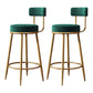Nordic Armless Backrest Counter Stool Iron Dessert Shop Bar Stool with Cushion and Pedal Green 2 Piece Set Clearhalo 'Bar Furniture' 'Bar Stools' 'bar_stools' 'furn' 'furn_bar_stools' 'Furniture' 'furniture_bar_stools' 'Kitchen & Dining Furniture' 4910332