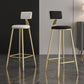 Nordic Armless Backrest Counter Stool Steel Cafe Bar Stool with Velvet Cushion and Pedal Clearhalo 'Bar Furniture' 'Bar Stools' 'bar_stools' 'furn' 'furn_bar_stools' 'Furniture' 'furniture_bar_stools' 'Kitchen & Dining Furniture' 4910473
