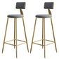 Nordic Armless Backrest Counter Stool Steel Cafe Bar Stool with Velvet Cushion and Pedal Gray 2 Piece Set Clearhalo 'Bar Furniture' 'Bar Stools' 'bar_stools' 'furn' 'furn_bar_stools' 'Furniture' 'furniture_bar_stools' 'Kitchen & Dining Furniture' 4910478