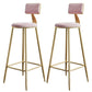 Nordic Armless Backrest Counter Stool Steel Cafe Bar Stool with Velvet Cushion and Pedal Pink 2 Piece Set Clearhalo 'Bar Furniture' 'Bar Stools' 'bar_stools' 'furn' 'furn_bar_stools' 'Furniture' 'furniture_bar_stools' 'Kitchen & Dining Furniture' 4910490