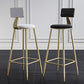Nordic Armless Backrest Counter Stool Steel Cafe Bar Stool with Velvet Cushion and Pedal Clearhalo 'Bar Furniture' 'Bar Stools' 'bar_stools' 'furn' 'furn_bar_stools' 'Furniture' 'furniture_bar_stools' 'Kitchen & Dining Furniture' 4910496