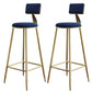 Nordic Armless Backrest Counter Stool Steel Cafe Bar Stool with Velvet Cushion and Pedal Blue 2 Piece Set Clearhalo 'Bar Furniture' 'Bar Stools' 'bar_stools' 'furn' 'furn_bar_stools' 'Furniture' 'furniture_bar_stools' 'Kitchen & Dining Furniture' 4910500