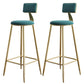 Nordic Armless Backrest Counter Stool Steel Cafe Bar Stool with Velvet Cushion and Pedal Green 2 Piece Set Clearhalo 'Bar Furniture' 'Bar Stools' 'bar_stools' 'furn' 'furn_bar_stools' 'Furniture' 'furniture_bar_stools' 'Kitchen & Dining Furniture' 4910503